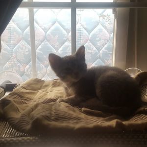 Meet your Posher, Paul